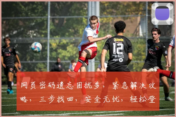 网页密码遗忘困扰多，紧急解决攻略，三步找回，安全无忧，轻松登录成功