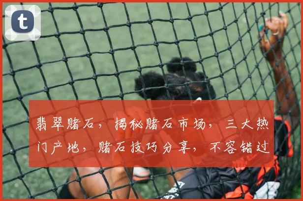 翡翠赌石，揭秘赌石市场，三大热门产地，赌石技巧分享，不容错过