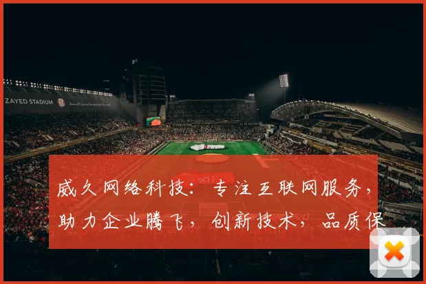 威久网络科技：专注互联网服务，助力企业腾飞，创新技术，品质保证，一站式解决方案