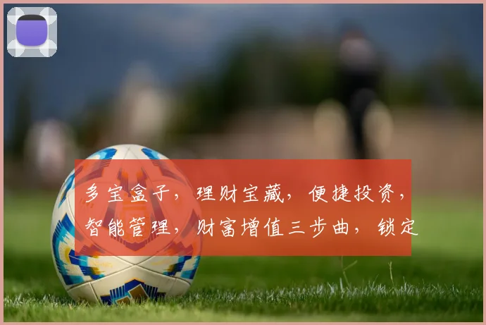 多宝盒子，理财宝藏，便捷投资，智能管理，财富增值三步曲，锁定财富之门