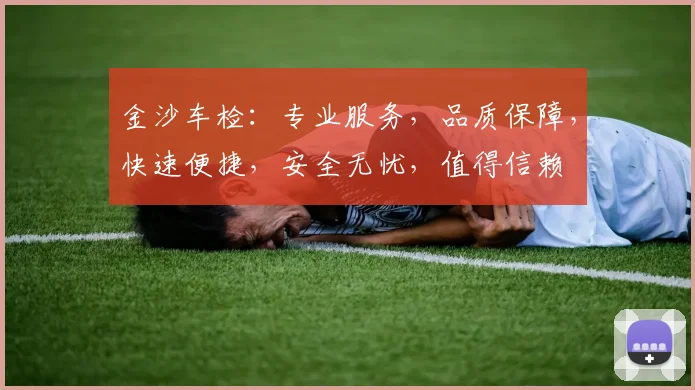 金沙车检：专业服务，品质保障，快速便捷，安全无忧，值得信赖