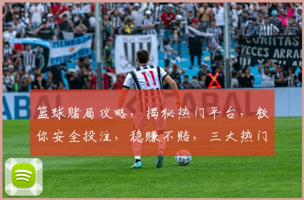 篮球赌局攻略，揭秘热门平台，教你安全投注，稳赚不赔，三大热门平台推荐，轻松上手